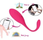 App-Controlled Vibrating Egg